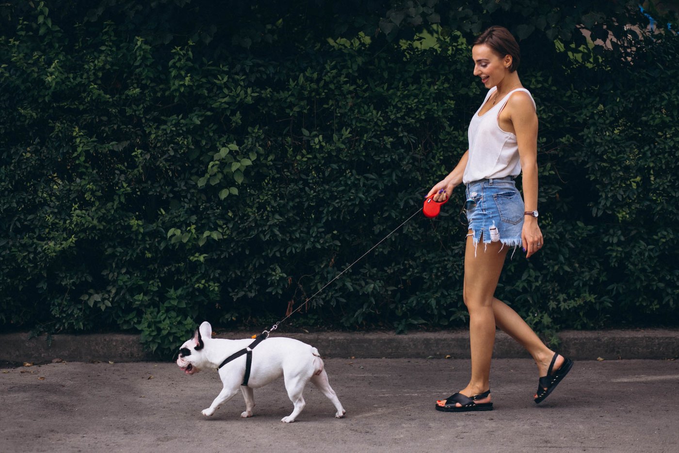 Pasear perro