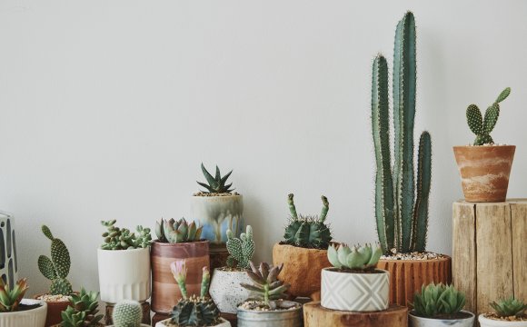 Jardinería sostenible