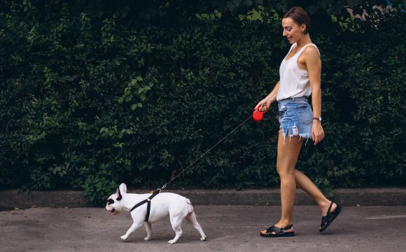 Pasear perro